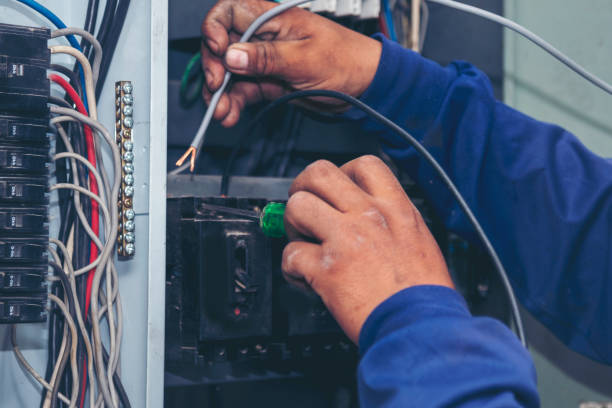 Best Electrical Upgrades for Homes  in Manton, MI